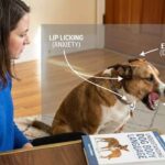 How to Notice Early Signs of Stress in Your Dog?